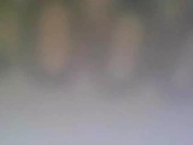 Freechat Adel0299 on BongaCams