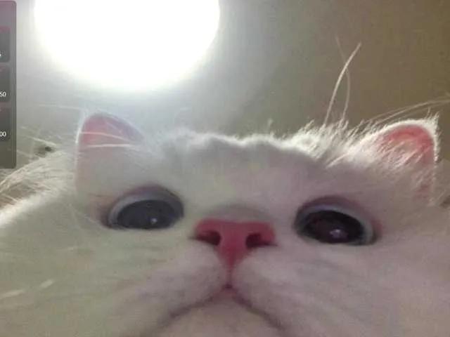 CrazyWine on BongaCams