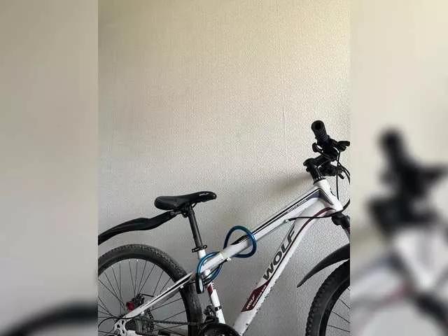 HARIZZMA on BongaCams