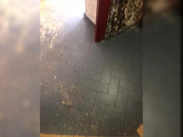 Freechat Jupimo on BongaCams