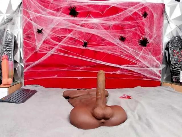 Freechat steacy-19 on BongaCams