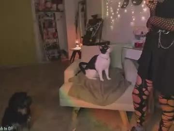 Freechat blushing_nymph on Chaturbate