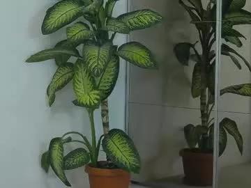 katestars on Chaturbate