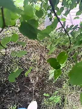 Freechat CrazzyChicks on StripChat