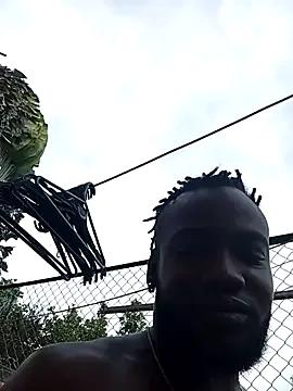 davidsims on StripChat