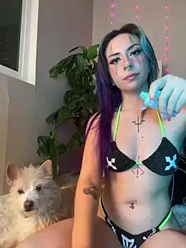 Freechat gorexchid on StripChat