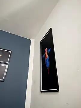 Freechat SilvaBranko on StripChat